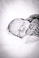 Peyton Ann | Newborn