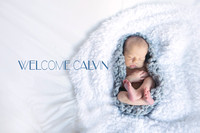 Calvin || Newborn